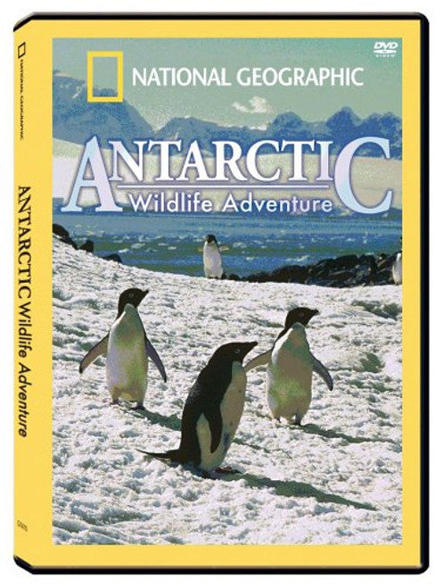 Antarctic Wildlife Adventure