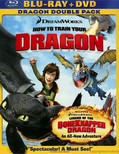 How To Train Your Dragon -Two-Disc Blu-ray/DVD Combo