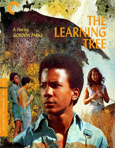 Criterion Collection The Learning Tree Blu-ray